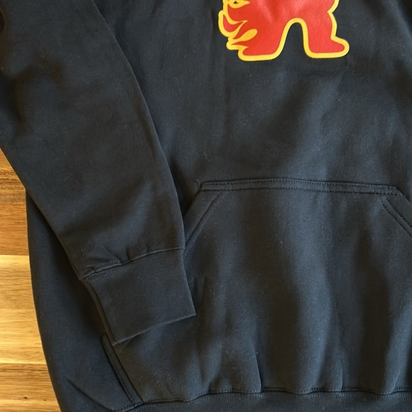 Large Black Grizzly Griptape hoodie with logo graphic - Picture 3 of 10